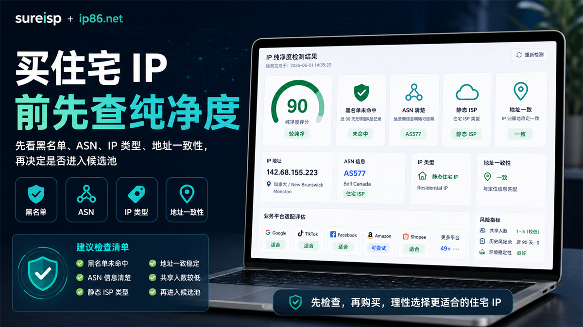 住宅 IP 购买前先查 IP 纯净度的检测面板
